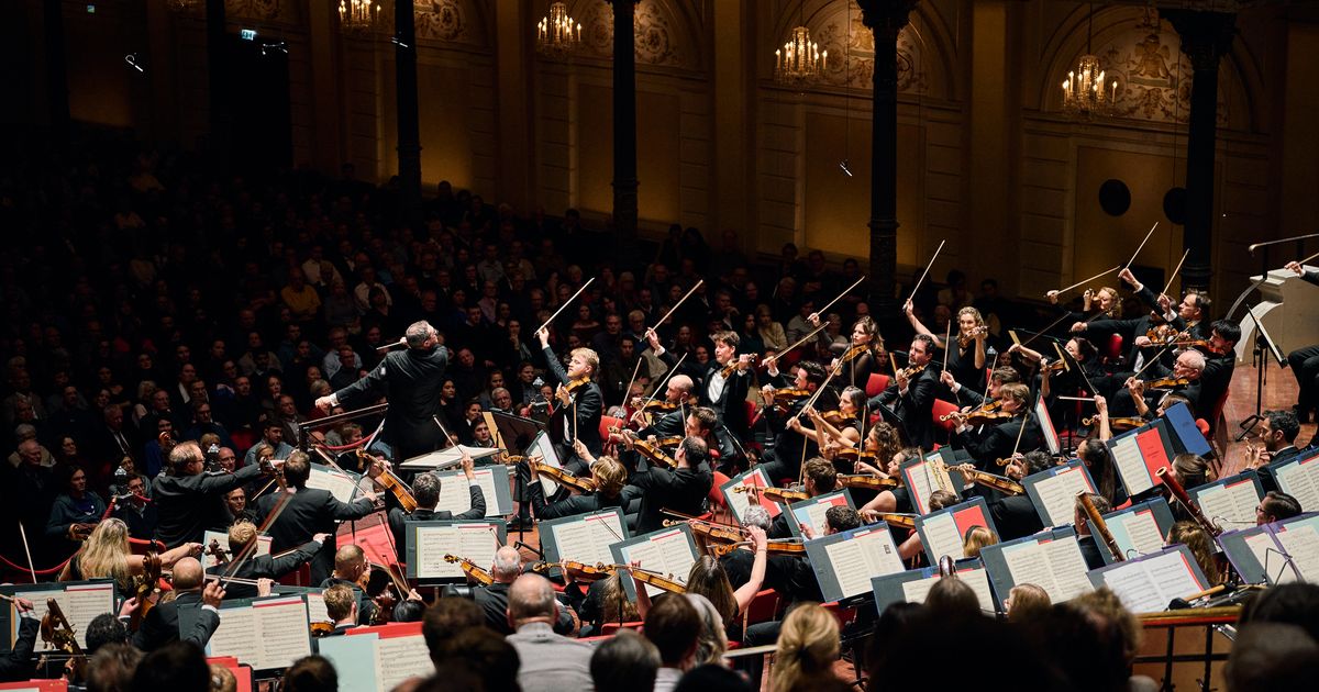 Concert performance