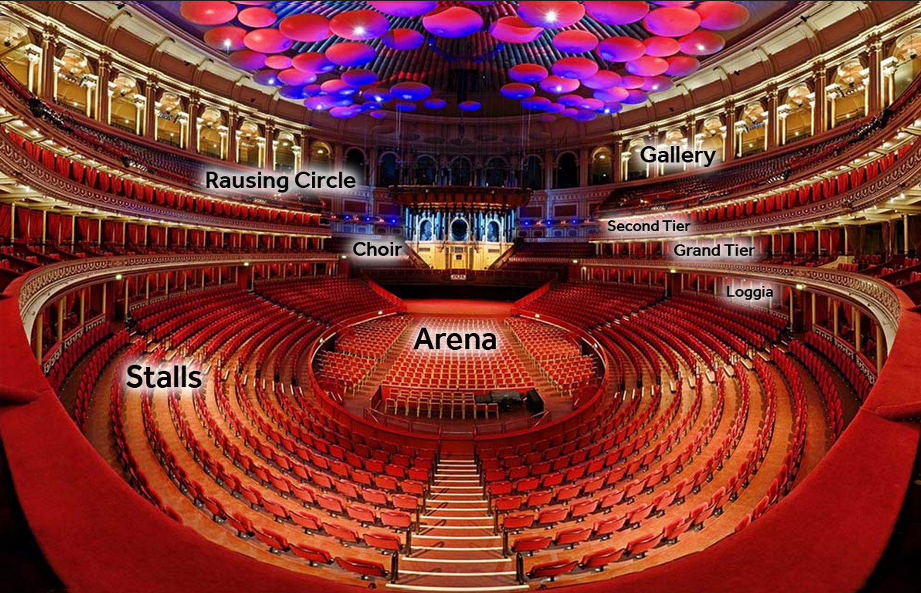 View From Your Seat Standard Layout Royal Albert Hall View From Your Seat Standard Layout Royal Albert Hall